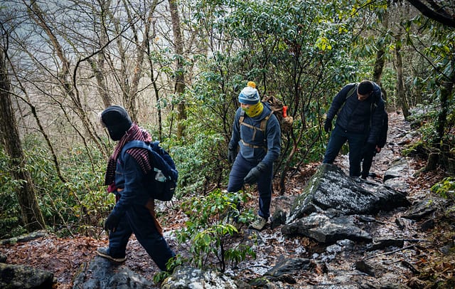 Blood Mountain — photo 10